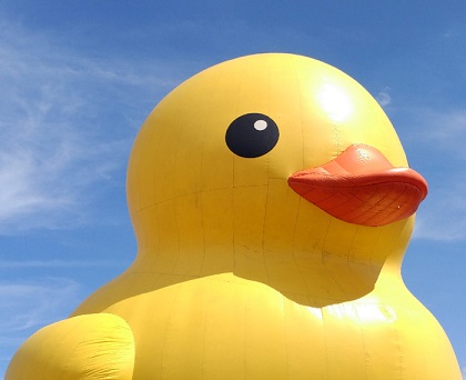 giant rubber duck