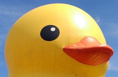 rubber duck head